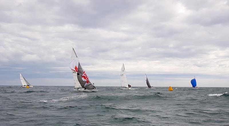 Kite troubles in Race 5 - Waitangi Cup 2019 photo copyright Catherine Rofe taken at Middle Harbour Yacht Club and featuring the IRC class