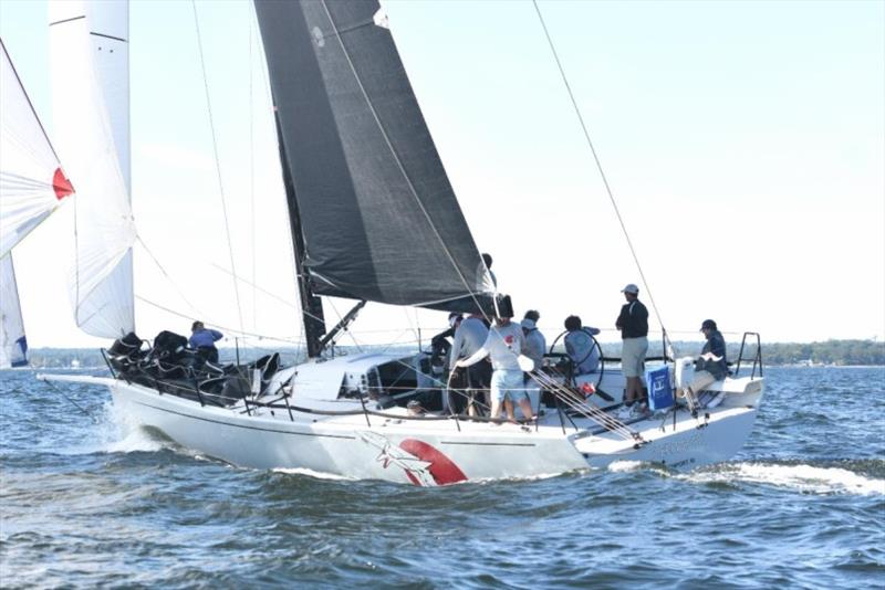 2019 Fall Regatta - photo © American Yacht Club 