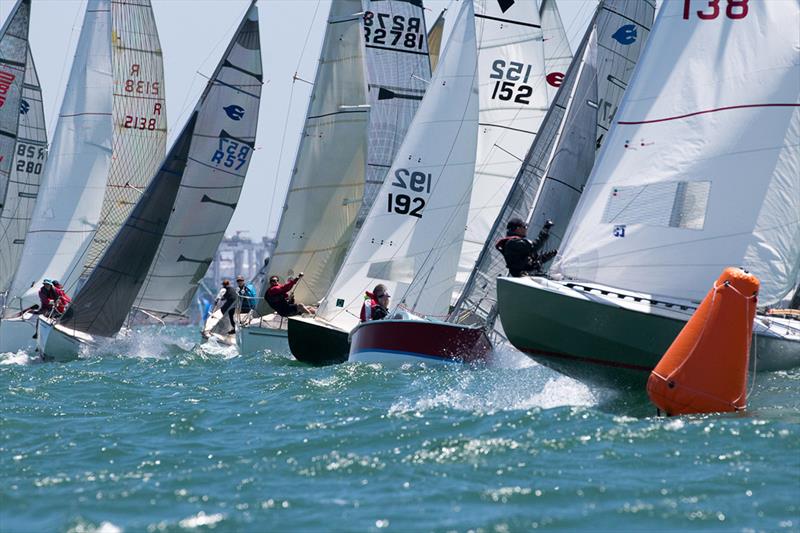 The Div C and D start line at last year's Lipton Cup - photo © Harry Fisher