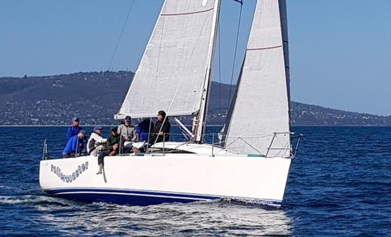 John Taylor's Sydney 32 Rollercoaster will be one of the competitors in the Lipton Cup photo copyright Harry Fisher taken at Royal Yacht Club of Victoria and featuring the IRC class