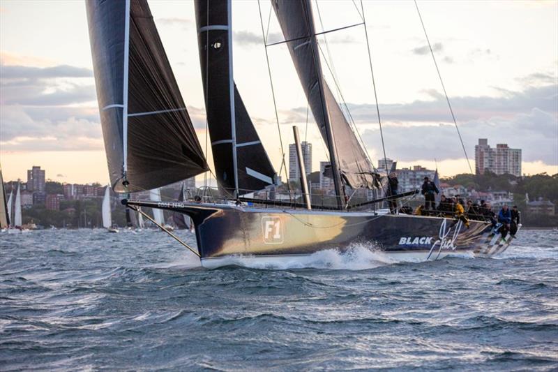 yacht tracker cabbage tree island race