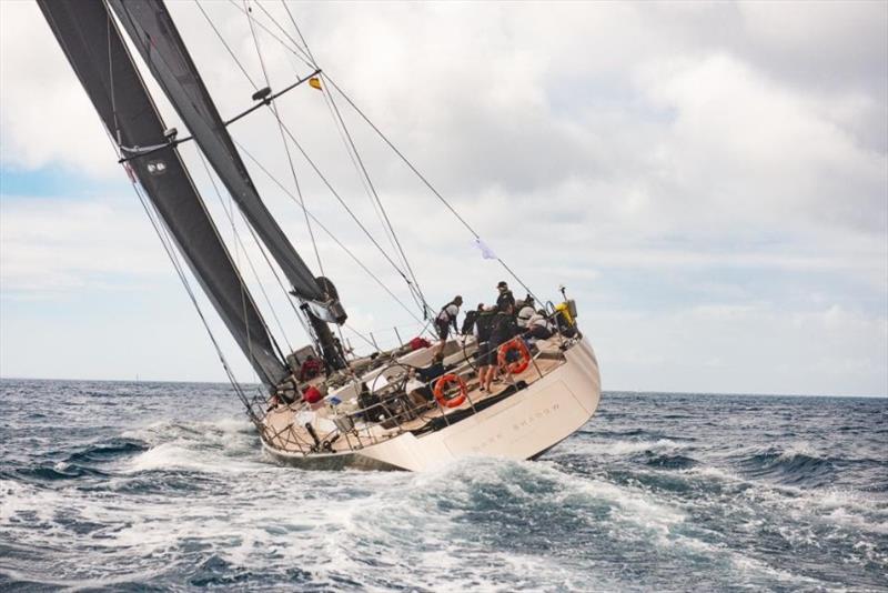 Life on board is in the groove on Wally 100 Dark Shadow - RORC Transatlantic Race day 5 - photo © RORC / Joaquim Vera / Calero Marinas