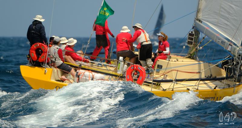 Yellow says Quetzalcoatl - coachhouse design says Don Jones - 2019 RSHYR - photo © Mitch Pearson / Surf Sail Kite