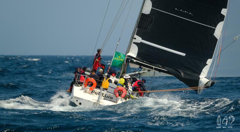 The Radford 50 - Pekljus - 2019 RSHYR photo copyright Mitch Pearson / Surf Sail Kite taken at Cruising Yacht Club of Australia and featuring the IRC class