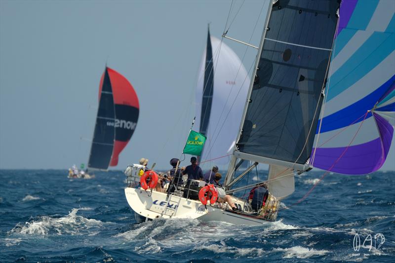 X-Yachts X412 - Lexi- 2019 RSHYR photo copyright Mitch Pearson / Surf Sail Kite taken at Cruising Yacht Club of Australia and featuring the IRC class