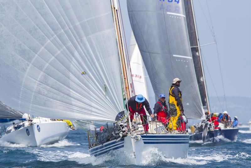 devonport yacht race