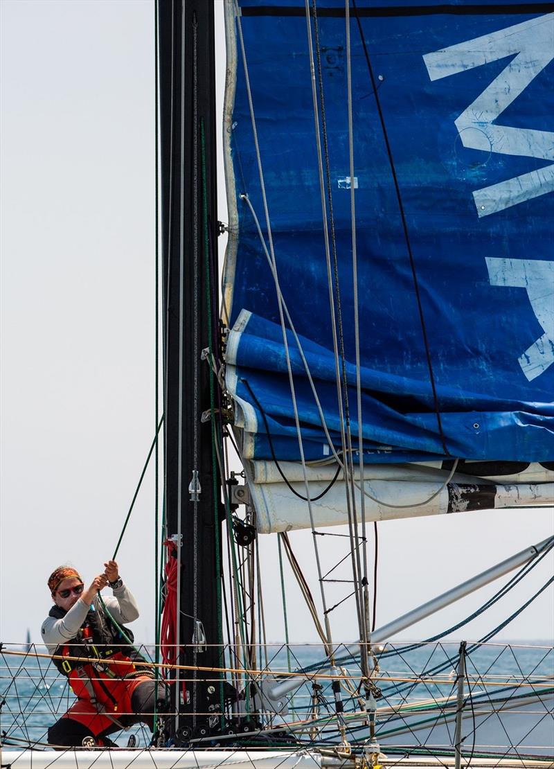 Lisa Blair hard at work during a sail change on d'Albora's Climate Action Now - Melbourne to Hobart Yacht Race 2019 photo copyright Bruno Cocozza / ORCV taken at Ocean Racing Club of Victoria and featuring the IRC class