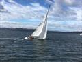 Yachts racing on Port Cygnet in the iconic regatta © Jessica Coughlan