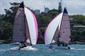Downwind on day 2 - SAILING Champions League - Asia Pacific northern qualifier © Beau Outteridge