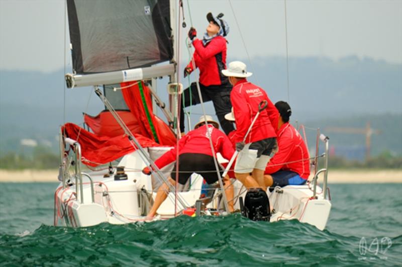 Bartercard Sail Paradise 2020 day 4 photo copyright Mitch Pearson / Surf Sail Kite taken at  and featuring the IRC class