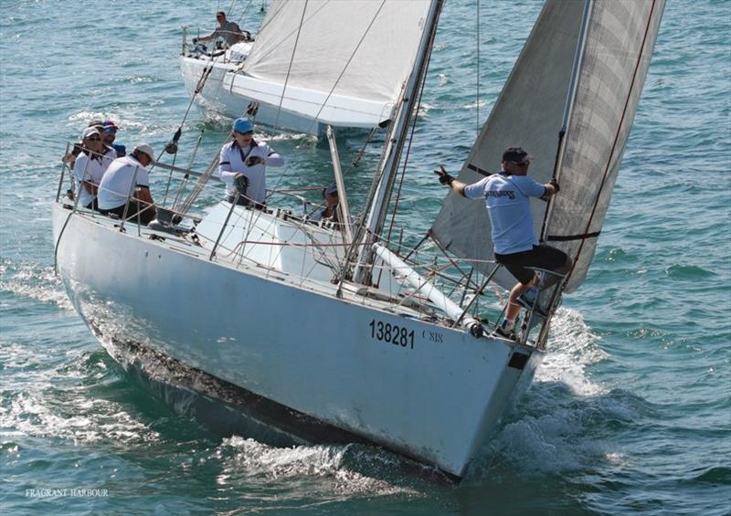 Outrageous with seconds to go - Monsoon Winter Series 2019, Race 6 photo copyright Hebe Jebes taken at Hebe Haven Yacht Club and featuring the IRC class