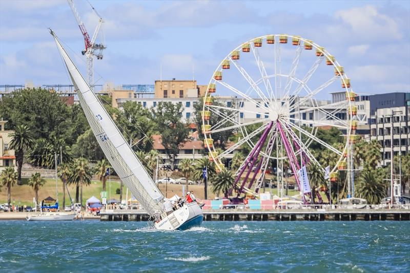 Festival of Sails 2019 photo copyright Salty Dingo taken at Royal Geelong Yacht Club and featuring the IRC class