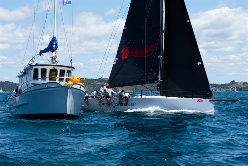 Icebreaker - CRC Bay of Islands Race Week - Day 2 - January 2020 - Bay of Islands Yacht Club photo copyright Lissa Reyden taken at Bay of Islands Yacht Club and featuring the IRC class