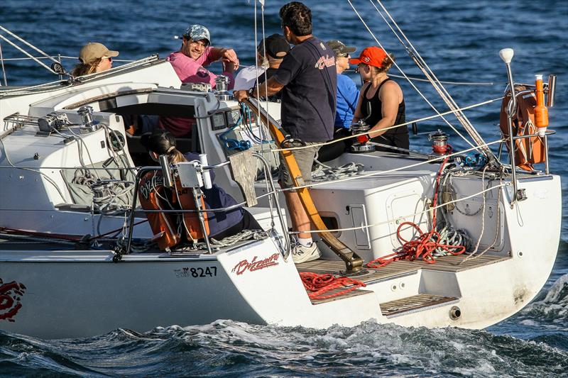 Club Marine Insurance Wednesday Series - RNZYS - February 26, 2020 - Waitemata Harbour - photo © Richard Gladwell / Sail-World.com