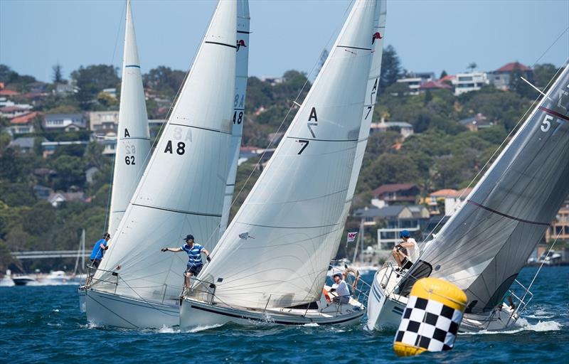 Sydney Harbour Regatta start photo copyright Andrea Francolini taken at Middle Harbour Yacht Club and featuring the IRC class