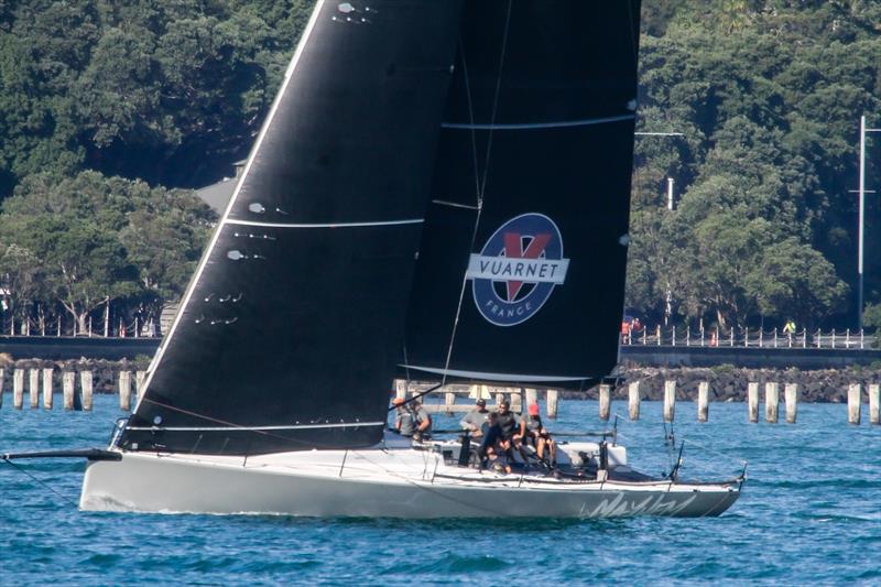 Mayhem (Harry Dodson) - RNZYS Club Marine Insurance Winter Series - May 16, 2020 - photo © Richard Gladwell / Sail-World.com