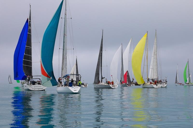 Cruising Division 2 yachts on the millpont - Airlie Beach Race Week photo copyright Shirley Wodson taken at Whitsunday Sailing Club and featuring the IRC class