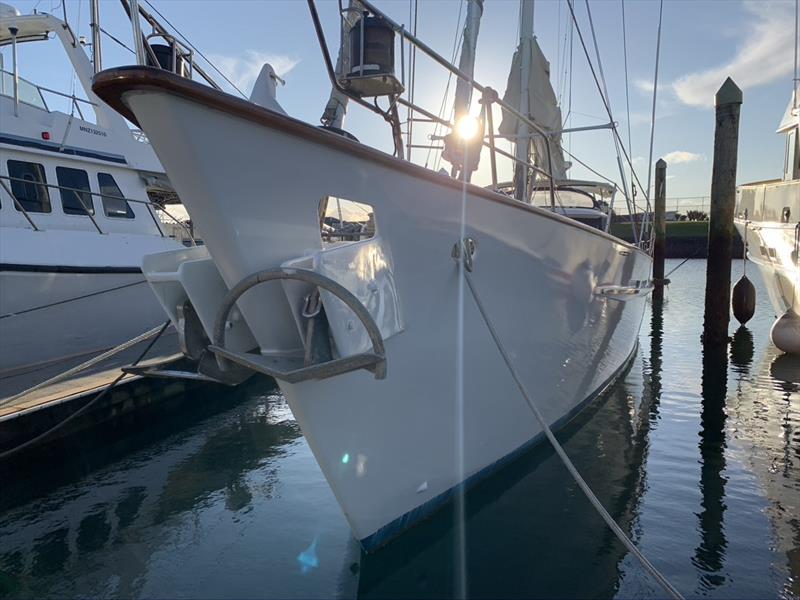 Silver Fern - Bartercard Sail Paradise Regatta photo copyright Virginia Riddle-Cross taken at  and featuring the IRC class