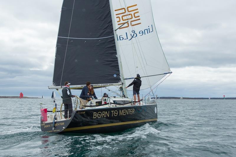 Simon Turvey's Born to Mentor competing in the Lincoln Week Regatta in 2019 - photo © Take 2 Photography