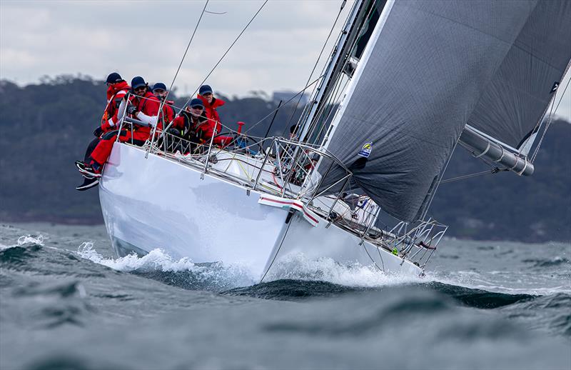 Wild Oats - Bird Island Race 2020 - photo © Crosbie Lorimer