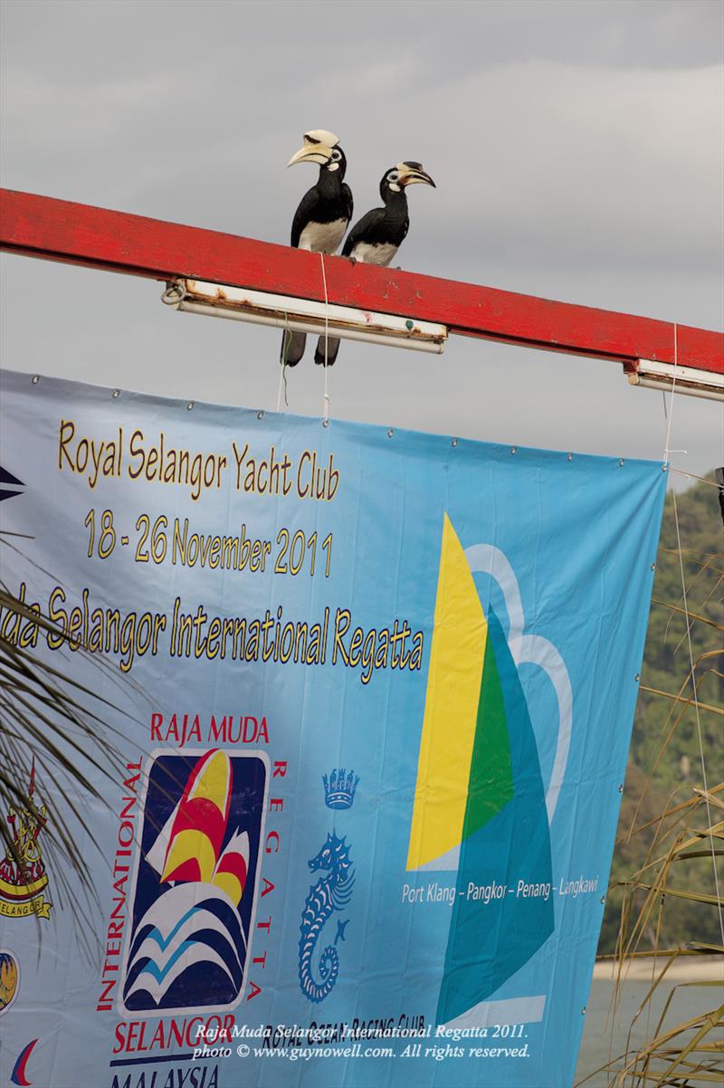 Raja Muda Selangor International Regatta photo copyright Guy Nowell taken at Royal Selangor Yacht Club and featuring the IRC class