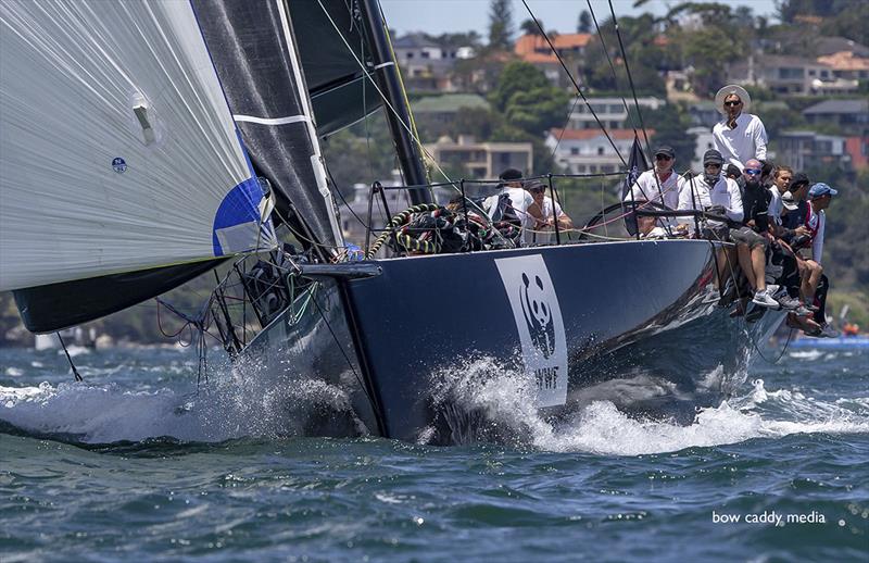 Save the animals indeed. Hear. Hear! SOLAS Big Boat Challenge photo copyright Crosbie Lorimer taken at Cruising Yacht Club of Australia and featuring the IRC class