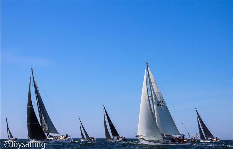 2021 Islands Race photo copyright Joy Sailing taken at San Diego Yacht Club and featuring the IRC class