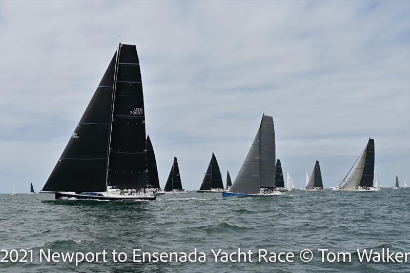 Newport to Ensenada International Yacht Race photo copyright Tom Walker taken at  and featuring the IRC class