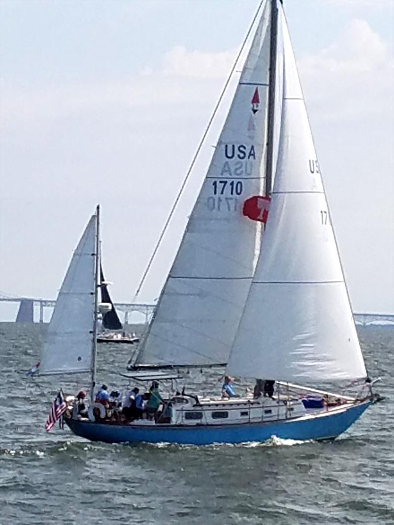 Down the Bay Race photo copyright Bill Wagner taken at Storm Trysail Club and featuring the IRC class