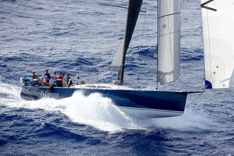 Peligroso sending it down a wave - 51st Transpac photo copyright Sharon Green / Ultimate Sailing taken at Transpacific Yacht Club and featuring the IRC class