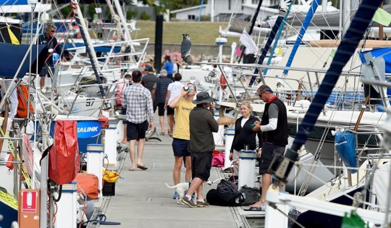 Preparing for day 1 - 2021 SeaLink Magnetic Island Race Week photo copyright Scott Radford-Chisholm / SMIRW taken at Townsville Yacht Club and featuring the IRC class