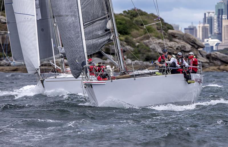 Wild Oats passes South Head photo copyright Bow Caddy Media taken at Cruising Yacht Club of Australia and featuring the IRC class