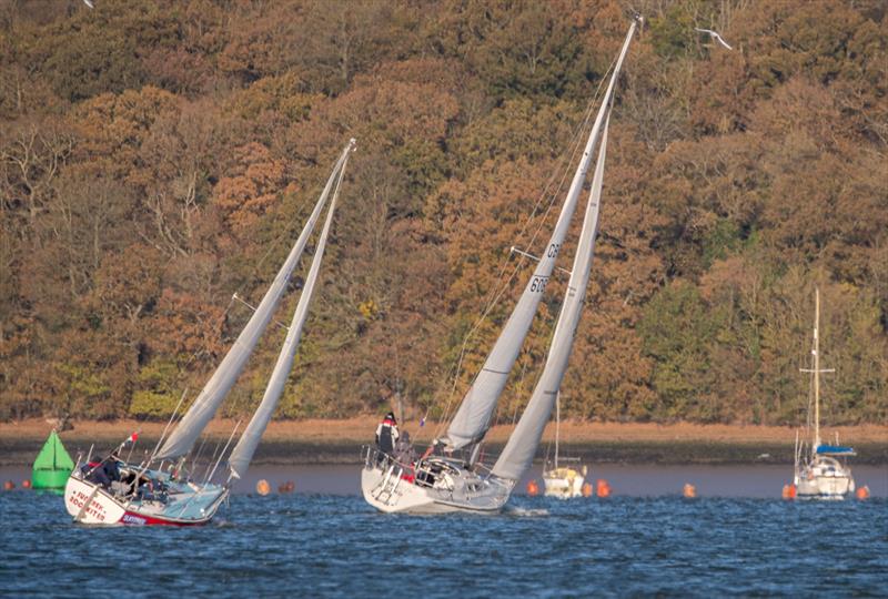 Wizard during the Medway Yacht Club Cruiser Autumn Series 2021 - photo © Paul Babington