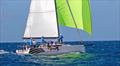 Whistler - Round Barbados Sailing Week © Sailors for the Sea