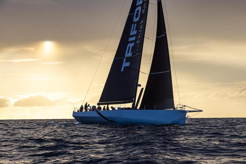 “It is a relief to get here (Grenada) and the race has been an absolute pleasure. It is the first time I have been to Grenada and it warms my heart to have presents from local people, we love it.” says Joern Larsen on L4 Trifork - RORC Transatlantic Ra photo copyright Arthur Daniel / RORC taken at Royal Ocean Racing Club and featuring the IRC class