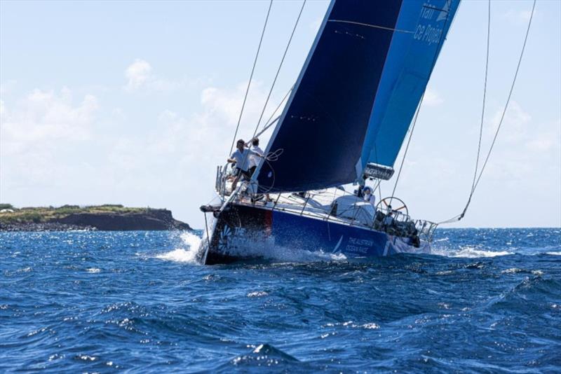 The Austrian Ocean Race Project's VO65 Sisi (AUT) completed the RORC Transatlantic Race in an elapsed time of 11 days 04 hrs 43 mins 29 secs on Wednesday 19 January - photo © Arthur Daniel / RORC