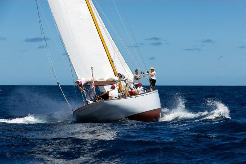 Mathew Barker's 1930 Alfred Mylne sloop The Blue Peter - Island Water World Grenada Sailing Week day 1 - photo © Arthur Daniel