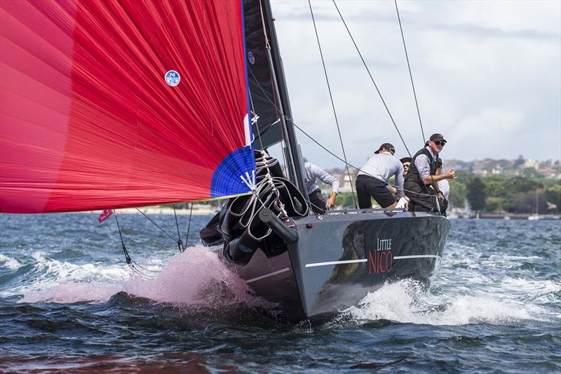 Little Nico on the boil - Sydney Harbour Regatta - photo © Andrea Francolini