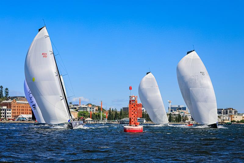 SailFest Newcastle Regatta photo copyright Salty Dingo taken at Newcastle Cruising Yacht Club and featuring the IRC class