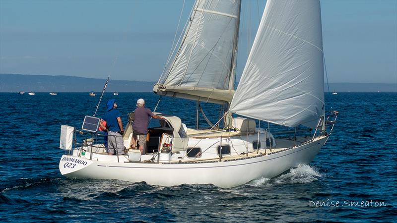 Queenscliff Cup winner Tom Hinton at the helm of SandS 34 Boomaroo photo copyright Denise Smeaton taken at Queenscliff Cruising Yacht Club and featuring the IRC class