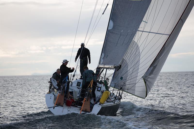 Angry Beaver - Race to Alaska photo copyright Taylor Bayly taken at  and featuring the IRC class