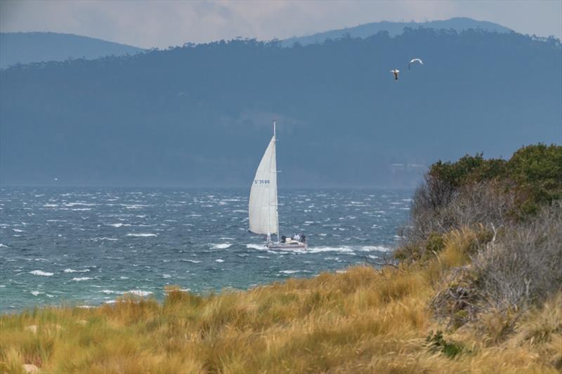 Justin Barr's Rumbeat handles the harsh conditions in the 2020 Aus Yachting Champs - photo © Beau Outteridge