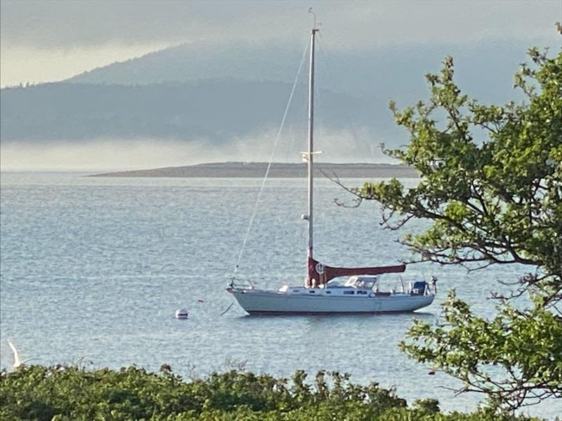 Illusion cruised in Maine for two summers after the 2020 Newport Bermuda Race was cancelled. - photo © Stan and Sally Honey 