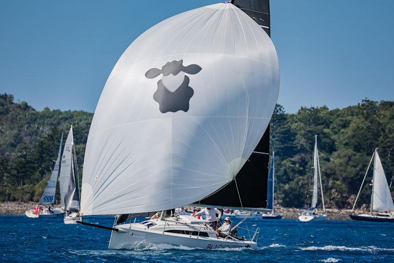 Black Sheep on day 1 of Hamilton Island Race Week photo copyright Salty Dingo taken at Hamilton Island Yacht Club and featuring the IRC class