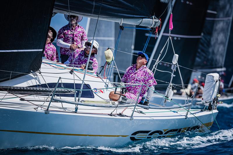 Norton White Corum nb. the crew shirts - 2022 Hamilton Island Race Week photo copyright Salty Dingo taken at Hamilton Island Yacht Club and featuring the IRC class