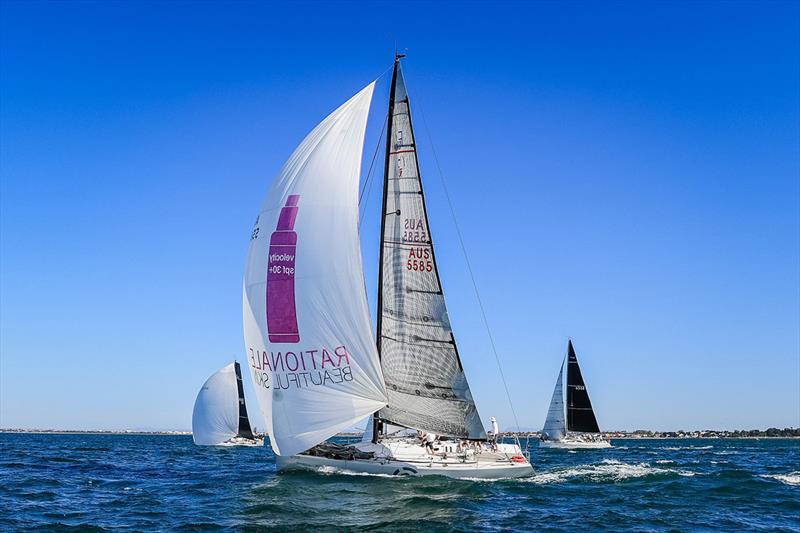 Larriken 2 will take on some tough rivals - Festival of Sails photo copyright Salty Dingo taken at Royal Geelong Yacht Club and featuring the IRC class