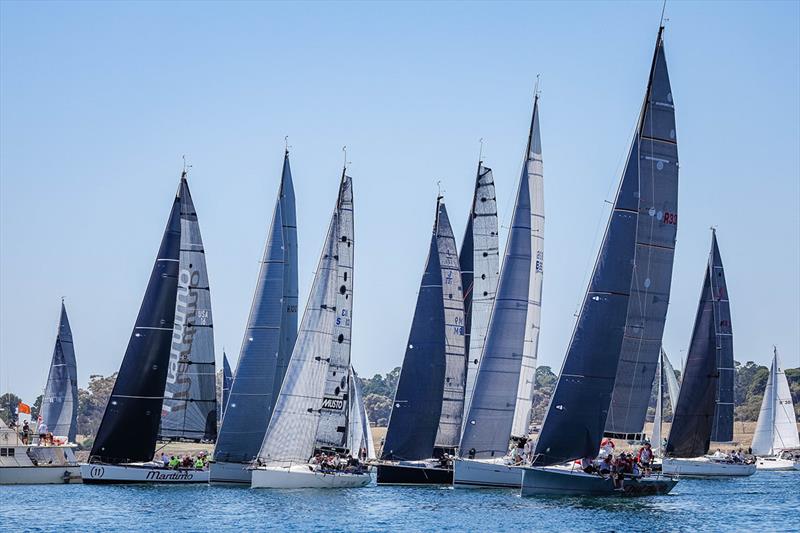 Maritimo and Ikon (left two boats) finished one point apart last year - Festival of Sails photo copyright Salty Dingo taken at Royal Geelong Yacht Club and featuring the IRC class