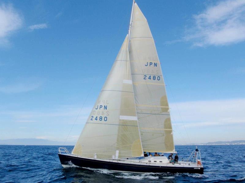 Transpac Race - photo © Transpacific Yacht Club