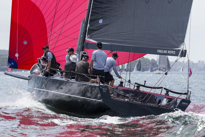 Adrian Walters' quick Little Nico photo copyright Andrea Francolini taken at Middle Harbour Yacht Club and featuring the IRC class