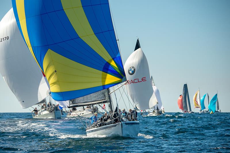 San Diego Hot Rum Series photo copyright Mark Albertazzi taken at San Diego Yacht Club and featuring the IRC class